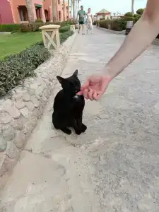 Charmillion Sea Life Resort - 22