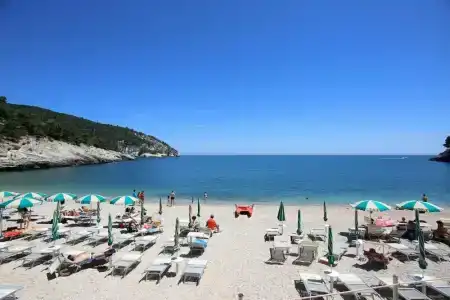 Pugnochiuso Resort - Degli Ulivi - 34