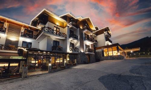 Cottage Crystal Bakuriani - 25