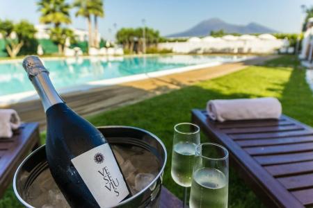 Resort & Winery Bosco De Medici - 4