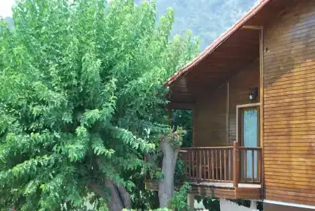 Sunset Boutique & Apartments - 10