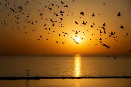 DoubleTree by Hilton Van - 18