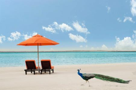 JA Lake View, Dubai - 7