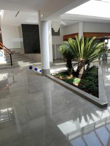 D'Aragona Lifestyle - 35