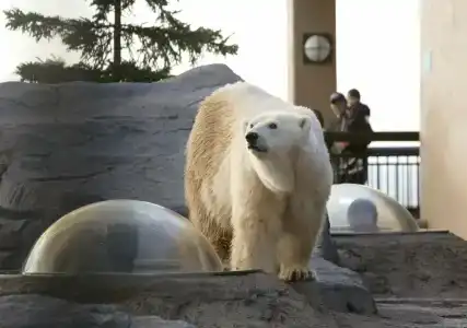 Wing International Asahikawa Ekimae - 26