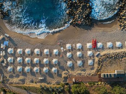 Alberi Del Paradiso - 11