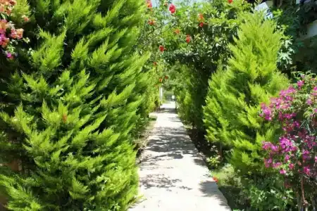 Vira Apart & Suits - 4