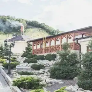 Vishnevaya Gora - 24