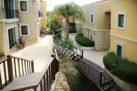 Cocos the Club Solto - 37