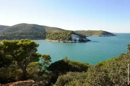 Pugnochiuso Resort - Degli Ulivi - 35
