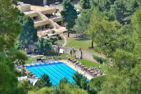 Pugnochiuso Resort - Degli Ulivi - 16