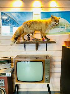 Park Grishkino Tourist base - 83