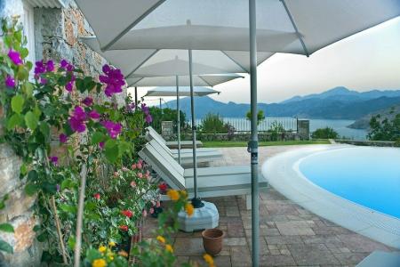 Swan Lake - Adult Only - 25