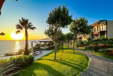 Allium Bodrum Resort & Spa - 28