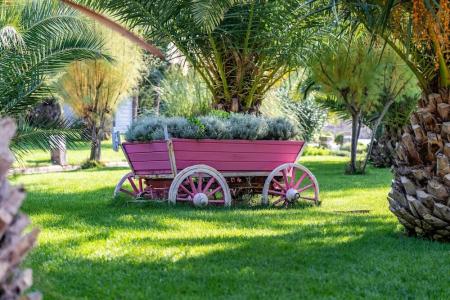 Mark Warner Phokaia Beach Resort - 9