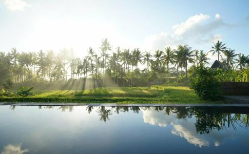 Alpin Resort and Villa Ubud - 12