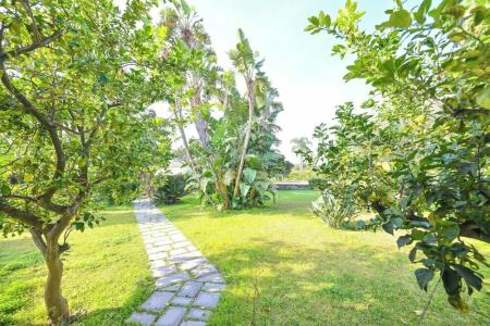 Residence San Domenico - 38
