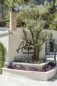 Alesta Yacht - 6