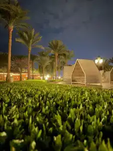 Siva Grand Beach - 39