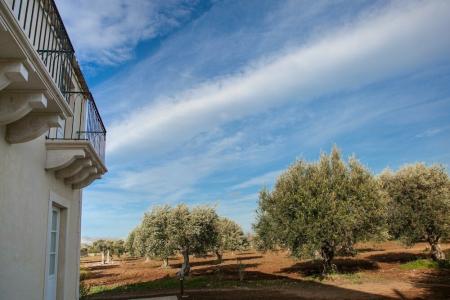 Zahir Country House - 45
