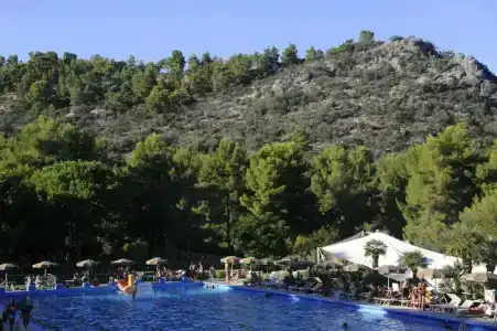 Pugnochiuso Resort - Degli Ulivi - 47