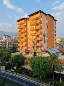 May Flower Apart - 25