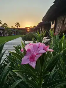 Dobedan Exclusive & Spa ''Ex Brand Alva Donna Exclusive & Spa'' - 5