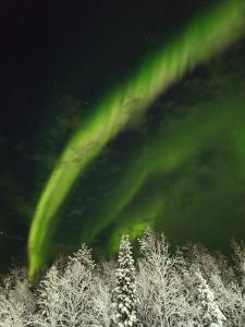 Park Aktivnogo Otdykha Severnoye Siyanie Resort - 93