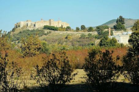 Ayasoluk & Restaurant - 12