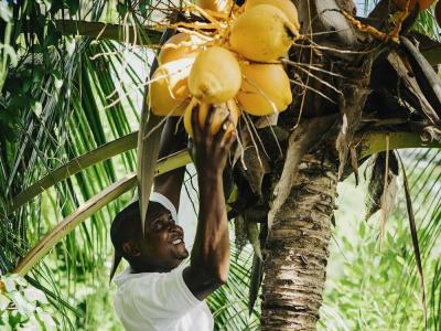 Raffles Seychelles - 47