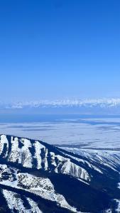 Argo Guest House - 3