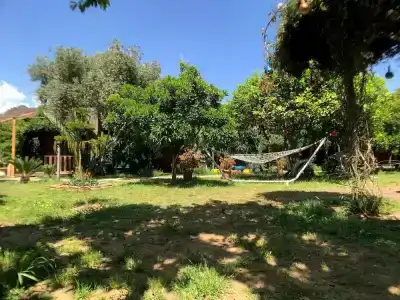 Turkuaz Bungalows - 35