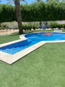 Dive Inn Resort - 21