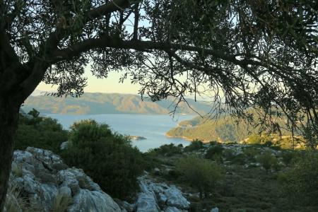 Swan Lake - Adult Only - 30