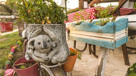 Koala Bungalows - 15