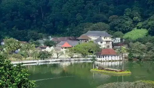 Kings Pavilion Luxury - 5