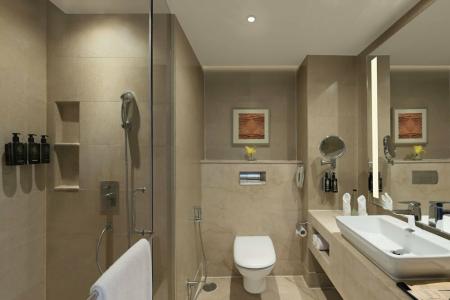 Crystal Sarovar Premiere Agra - 29