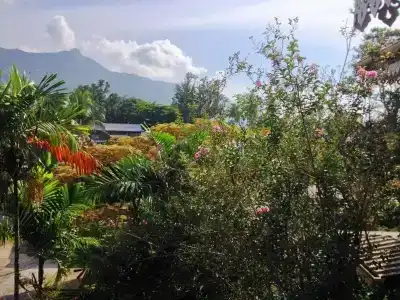 Romance Bungalows - 40