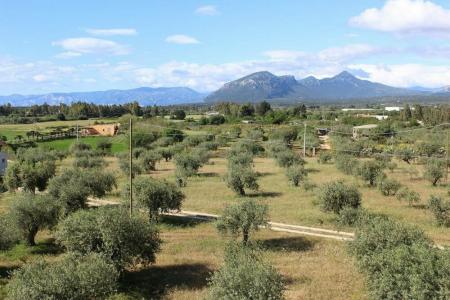 Baia Marina - 4