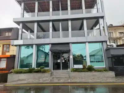 Olymp Pervaya Liniya - 42