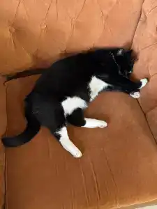 Luch Sports and complex - 42