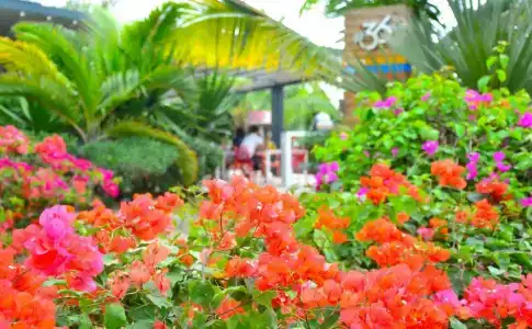 Mystik Life Style - 6