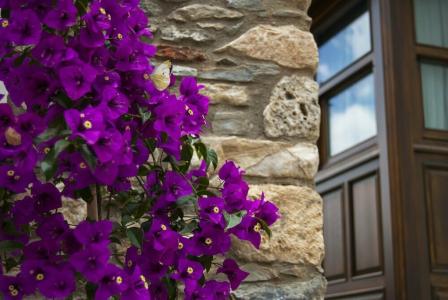 Ayasoluk & Restaurant - 23