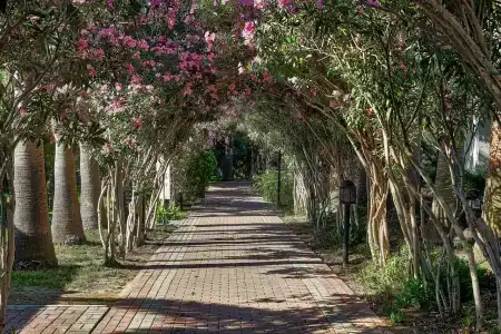 Seaden Sea World Resort & Spa - 12