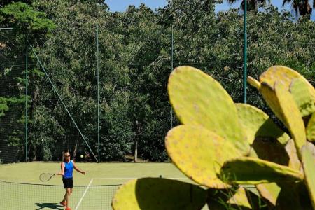 Alberi Del Paradiso - 48