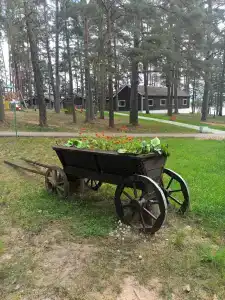 Лукоморье - 100