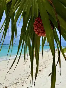 Berjaya Beau Vallon Bay Resort & Casino - 31