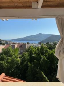 Elixir Boutique - 40