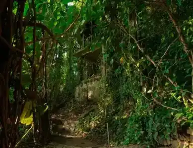 Kings Pavilion Luxury - 28