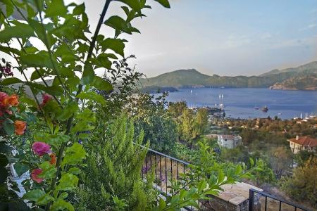 Swan Lake - Adult Only - 28